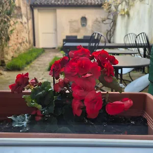 19 Borgo Cavour Trévise
